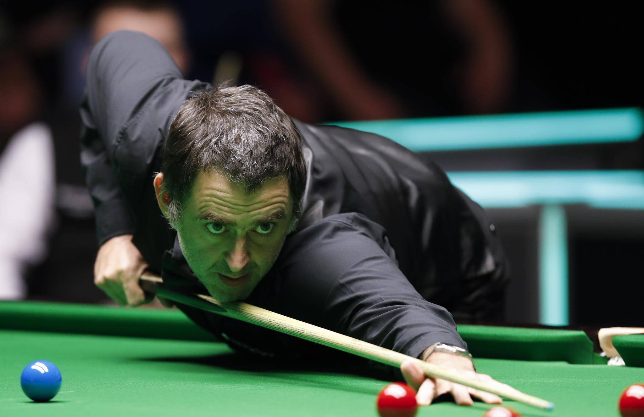 弹性都会显 弹性都会显